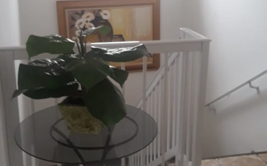 3 Casas no Jd. Progresso com terreno de 574 m²