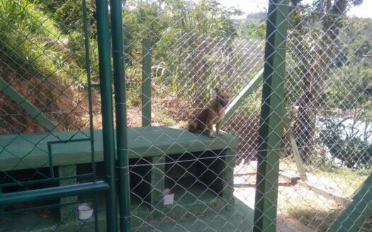 Chácara em Mairiporã com campo de futebol piscina e salão de jogos