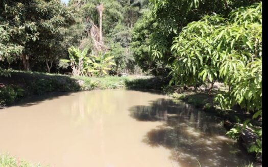 Chácara com 12.700 metros quadrados para alugar