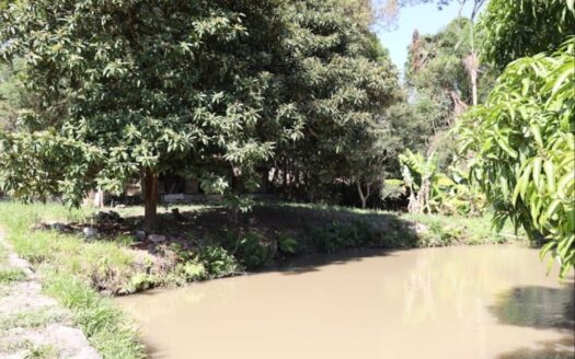 Chácara com 12.700 metros quadrados para alugar