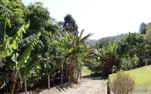 Chácara com 12.700 metros quadrados para alugar