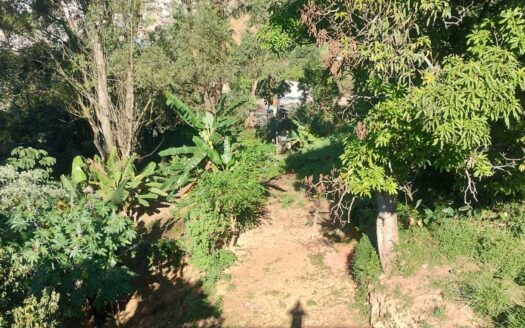 Casa com dois quartos sala cozinha área de serviço e garagem ampla bairro Silva