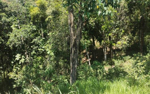 Chácara no bairro Cascata em Francisco Morato