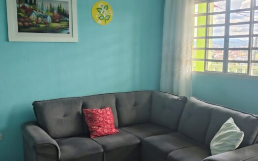 Imóvel com 3 Casas e Salão à Venda no Jardim Primavera