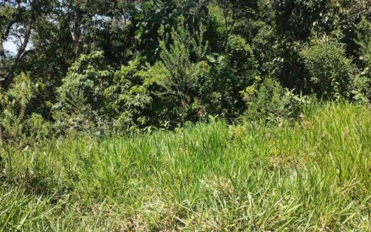 Chácara no bairro Jardim Alegria em Francisco Morato