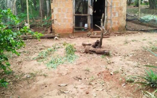 Sítio com 7,2 alqueires em Itaquiraí em Mato Grosso do Sul