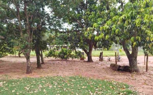 Sítio com 7,2 alqueires em Itaquiraí em Mato Grosso do Sul