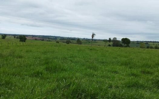 Sítio com 7,2 alqueires em Itaquiraí em Mato Grosso do Sul