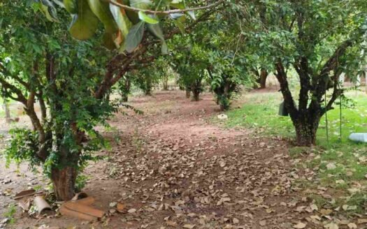 Sítio com 7,2 alqueires em Itaquiraí em Mato Grosso do Sul