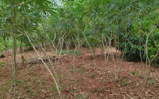 Sítio com 7,2 alqueires em Itaquiraí em Mato Grosso do Sul